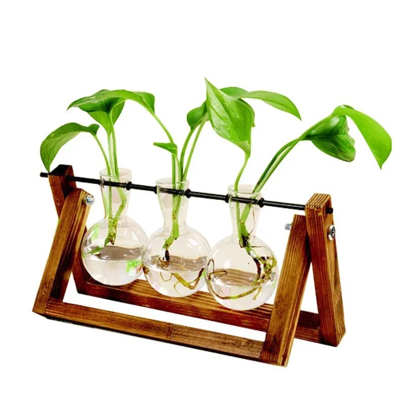 Storazone Bonsai Decor flower vase Plant Transparent Vase Wooden Frame vase decoratio Glass Tabletop Plant flower shaped bowl