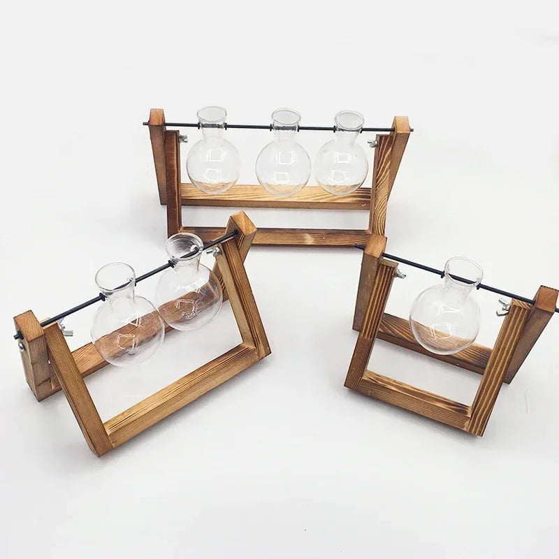Storazone Bonsai Decor flower vase Plant Transparent Vase Wooden Frame vase decoratio Glass Tabletop Plant flower shaped bowl