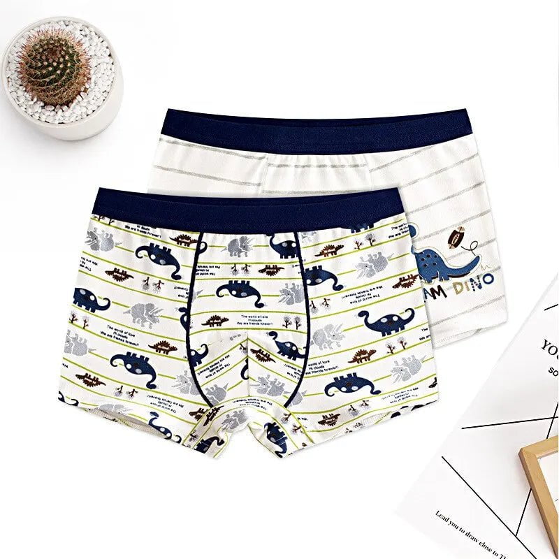 Storazone 2 pcs 1 / 14 4pcs 100% Cotton Boys Underwear Kids Quality Boxer Boy Shorts Bottoms Boys Clothes for 3 4 6 8 10 12 14 Years Old RKU183004