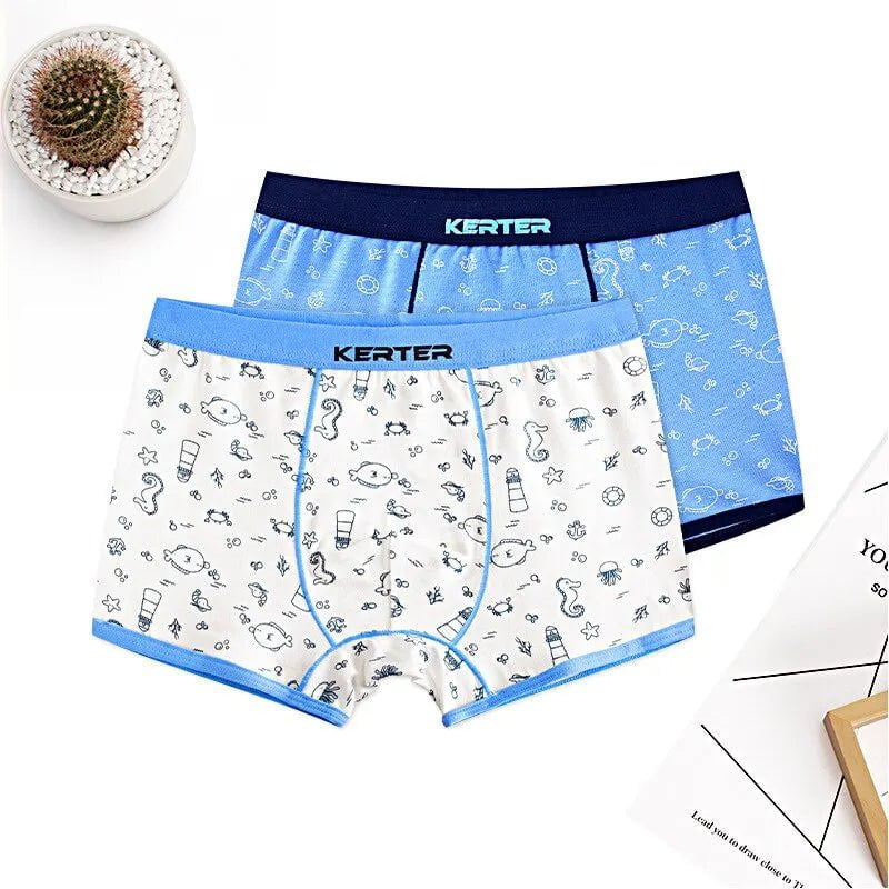 Storazone 2 pcs 2 / 14 4pcs 100% Cotton Boys Underwear Kids Quality Boxer Boy Shorts Bottoms Boys Clothes for 3 4 6 8 10 12 14 Years Old RKU183004