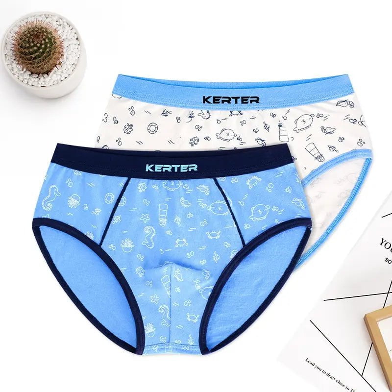 Storazone 2 pcs / 4 4pcs 100% Cotton Boys Underwear Kids Quality Boxer Boy Shorts Bottoms Boys Clothes for 3 4 6 8 10 12 14 Years Old RKU183004