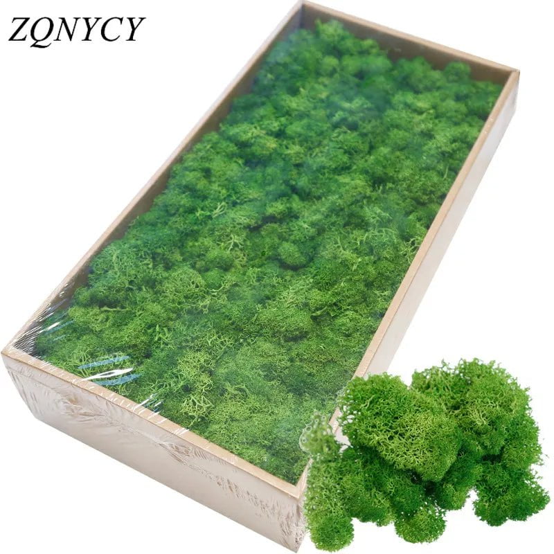 Storazone 20/40g Artificial Green Plants Eternal Life Moss Grass Home Living Room Garden Decoration Mini Landscape Fake Flower DIY Crafts