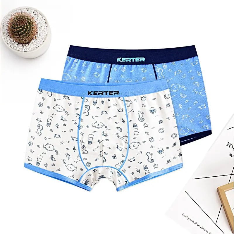 Storazone 4pcs 100% Cotton Boys Underwear Kids Quality Boxer Boy Shorts Bottoms Boys Clothes for 3 4 6 8 10 12 14 Years Old RKU183004