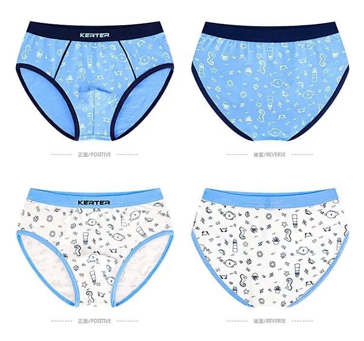 Storazone 4pcs 100% Cotton Boys Underwear Kids Quality Boxer Boy Shorts Bottoms Boys Clothes for 3 4 6 8 10 12 14 Years Old RKU183004