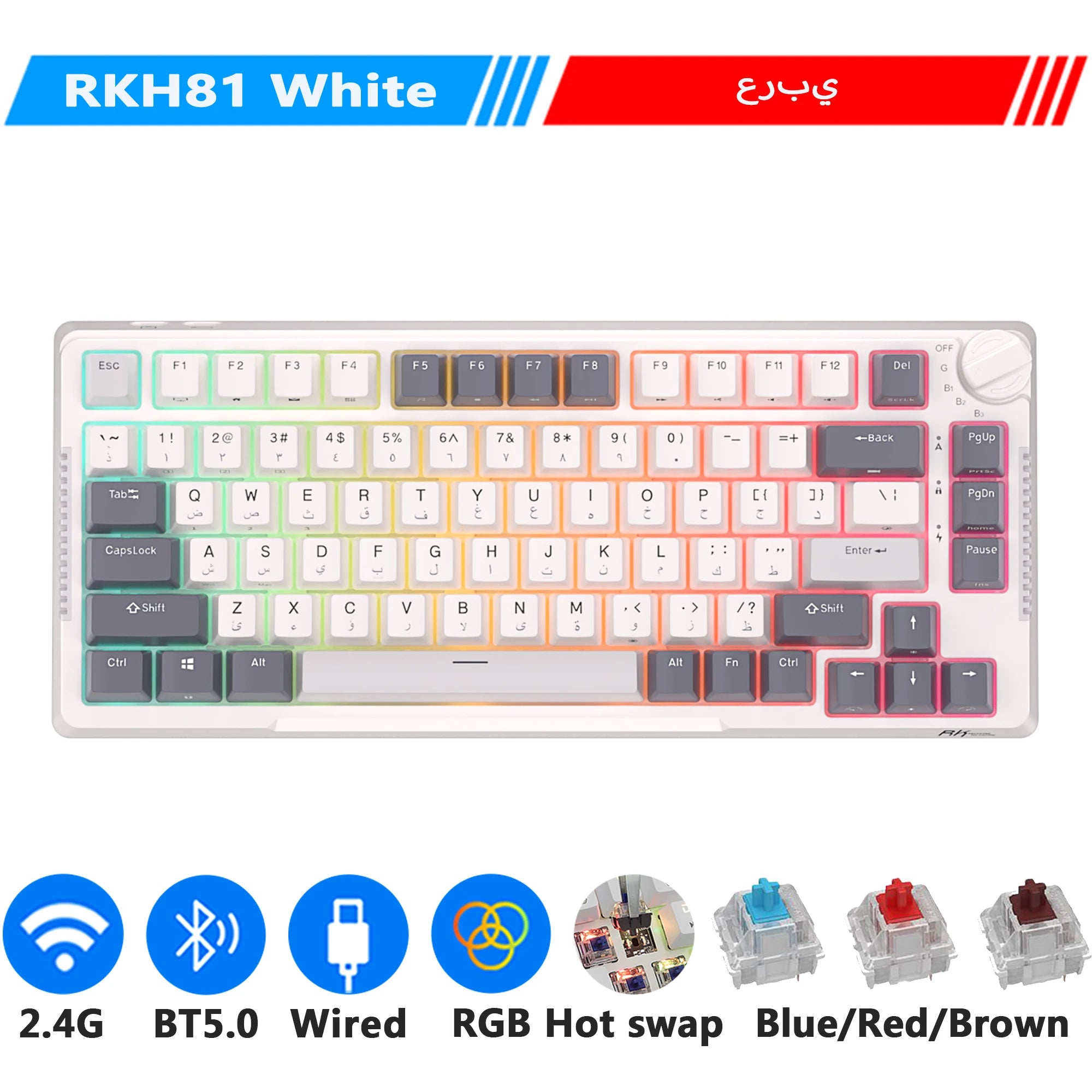 Storazone Arabic White / Blue Switch / CHINA RK H81 Royal Kludge Gasket Structure Tri-mode Mechanical Keyboard 81 Key 80% RGB Backlit 2.4G Wireless Bluetooth Gamer Keyboard