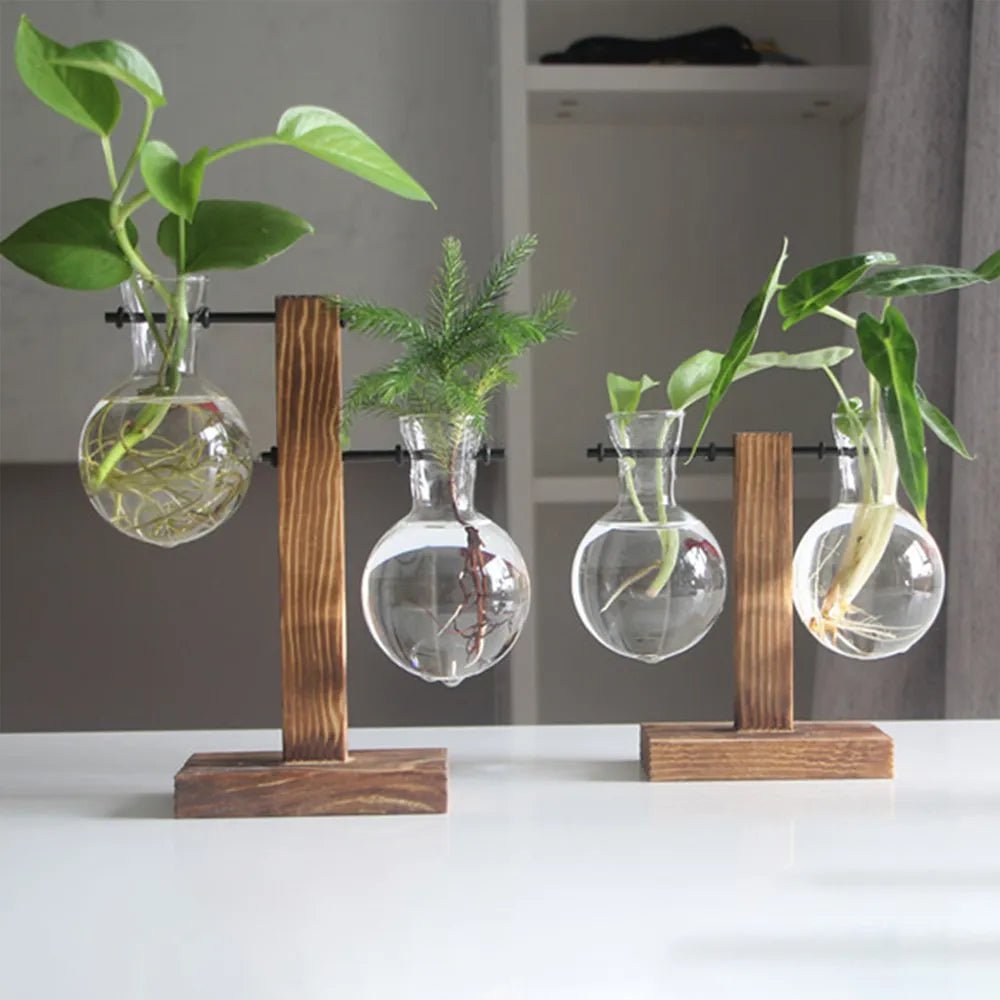 Storazone Creative Glass Desktop Planter Bulb Vase Wooden Stand Hydroponic Plant Container Home Tabletop Decor Vases