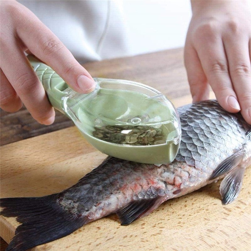 STORAZONE Kitchen 16x5.5x4.2cm / green Fish Skin Brush Scraping Fish Scale Brush Grater Quick Disassembly Fish Knife Cleaning Peeling Skin Scraper Scraper Fish Scaler Kitchen Tools
