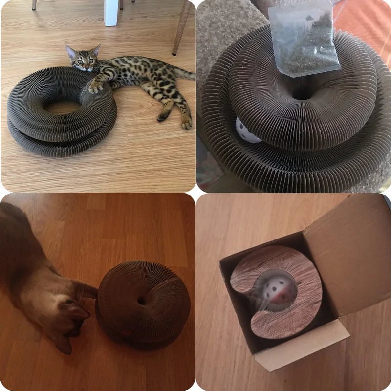 Storazone Magic Organ Cat Toy Cats Scratcher Scratch Board Round Corrugated Scratching Post Toys for Cats Grinding Claw Cat Accessories