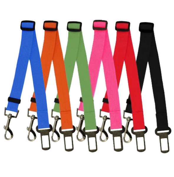 STORAZONE Pet Accessories 60cm / Random Fixed Strap Polyester Dog Strap Dog Leash Dog Leash