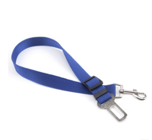 STORAZONE Pet Accessories 70cm / Blue Fixed Strap Polyester Dog Strap Dog Leash Dog Leash