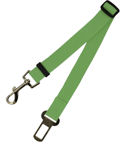 STORAZONE Pet Accessories 70cm / Green Fixed Strap Polyester Dog Strap Dog Leash Dog Leash