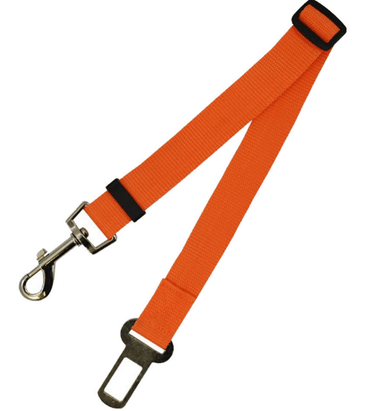 STORAZONE Pet Accessories 70cm / Orange Fixed Strap Polyester Dog Strap Dog Leash Dog Leash