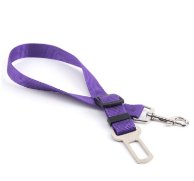 STORAZONE Pet Accessories 70cm / Purple Fixed Strap Polyester Dog Strap Dog Leash Dog Leash