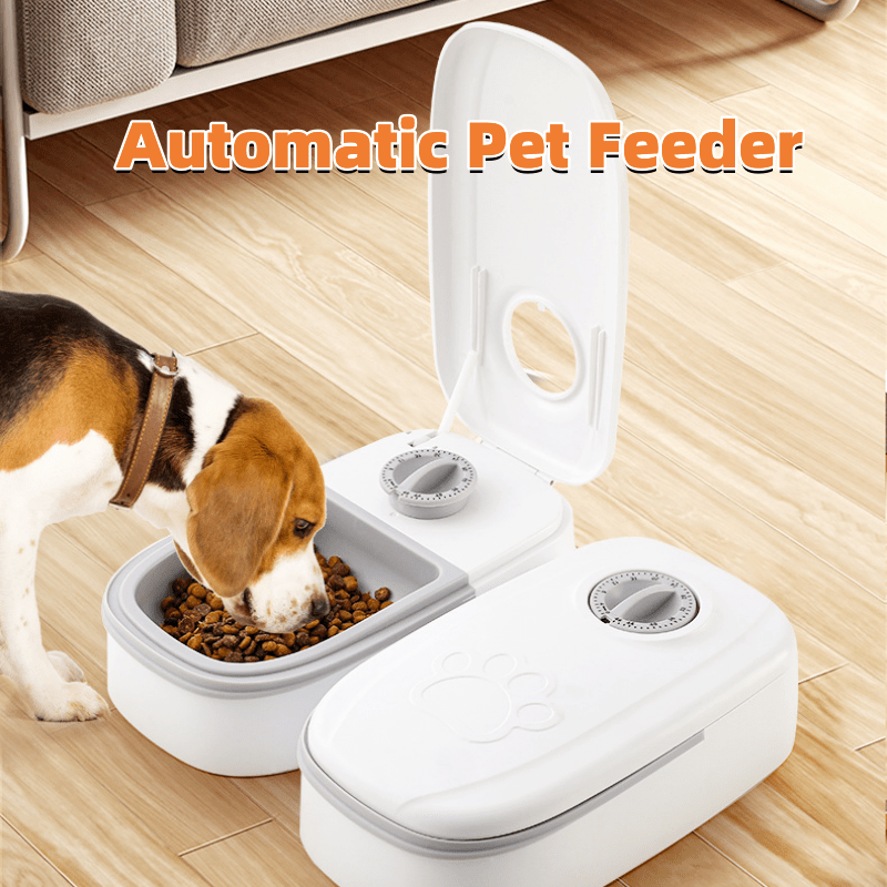 STORAZONE Pet Accessories Automatic Pet Feeder Smart Food Dispenser For Cats Dogs Timer Stainless Steel Bowl Auto Dog Cat Pet Feeding Pets Supplies