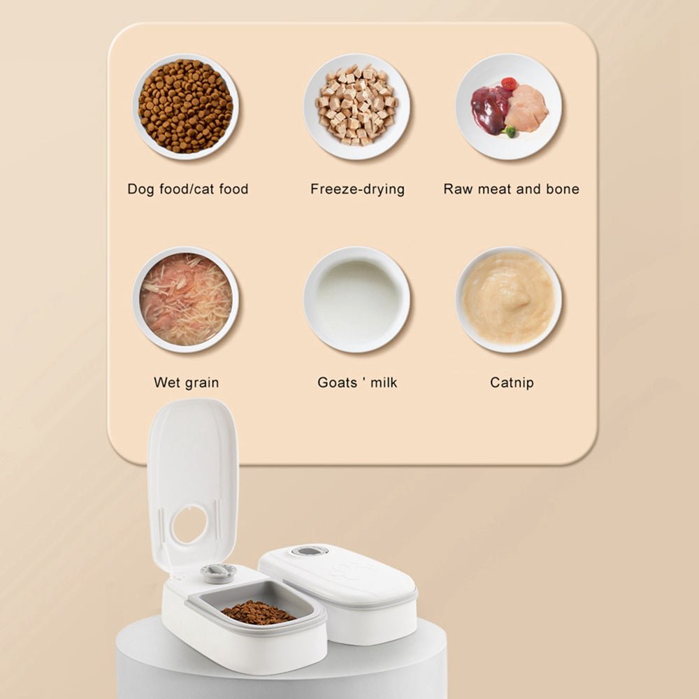 STORAZONE Pet Accessories Automatic Pet Feeder Smart Food Dispenser For Cats Dogs Timer Stainless Steel Bowl Auto Dog Cat Pet Feeding Pets Supplies