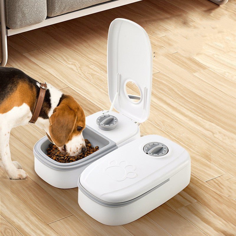 STORAZONE Pet Accessories Automatic Pet Feeder Smart Food Dispenser For Cats Dogs Timer Stainless Steel Bowl Auto Dog Cat Pet Feeding Pets Supplies