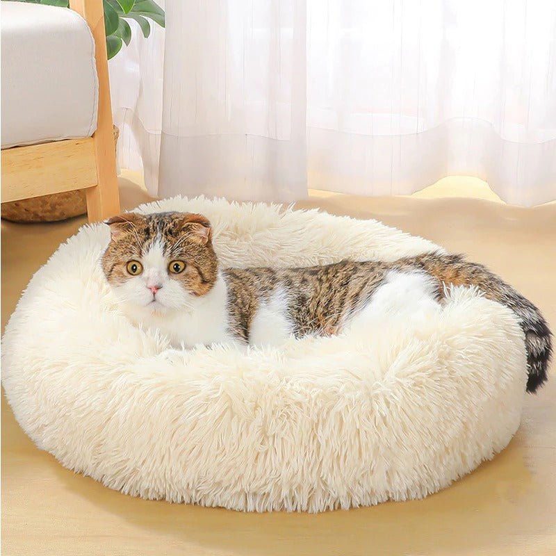 STORAZONE Pet Accessories Dog Bed Super Soft Washable Long Plush Pet Kennel Deep Sleep Dog House Velvet Mats Sofa For Dog Basket Pet Cat Bed