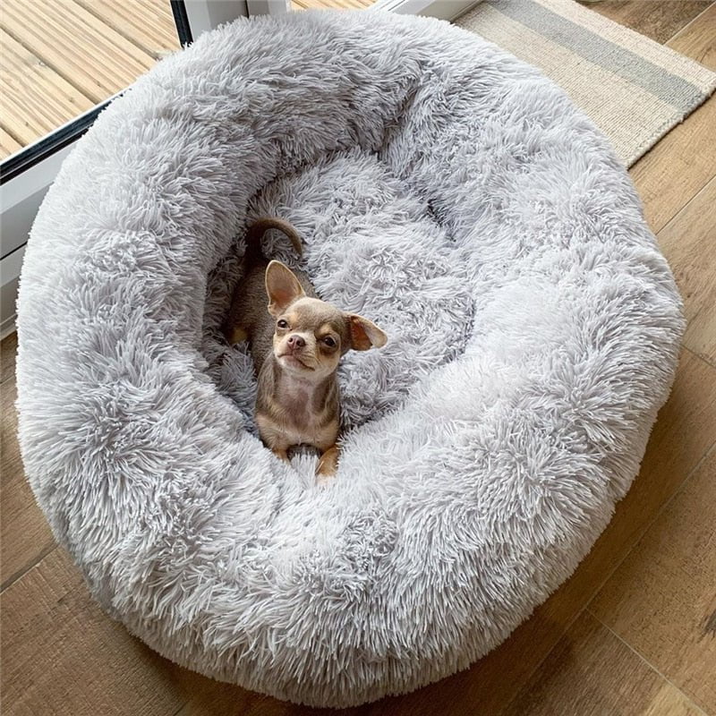 STORAZONE Pet Accessories Dog Bed Super Soft Washable Long Plush Pet Kennel Deep Sleep Dog House Velvet Mats Sofa For Dog Basket Pet Cat Bed