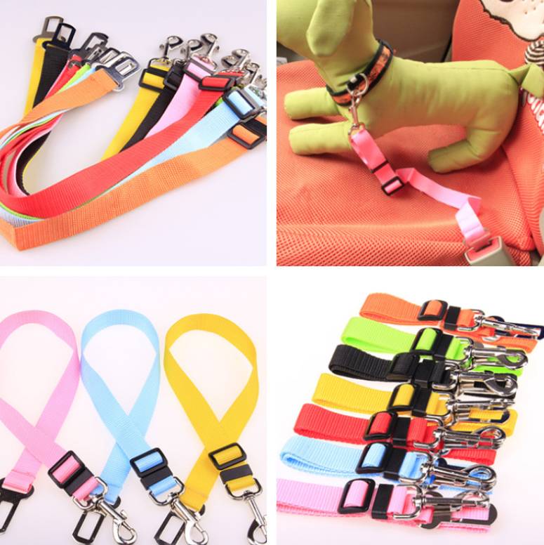 STORAZONE Pet Accessories Fixed Strap Polyester Dog Strap Dog Leash Dog Leash