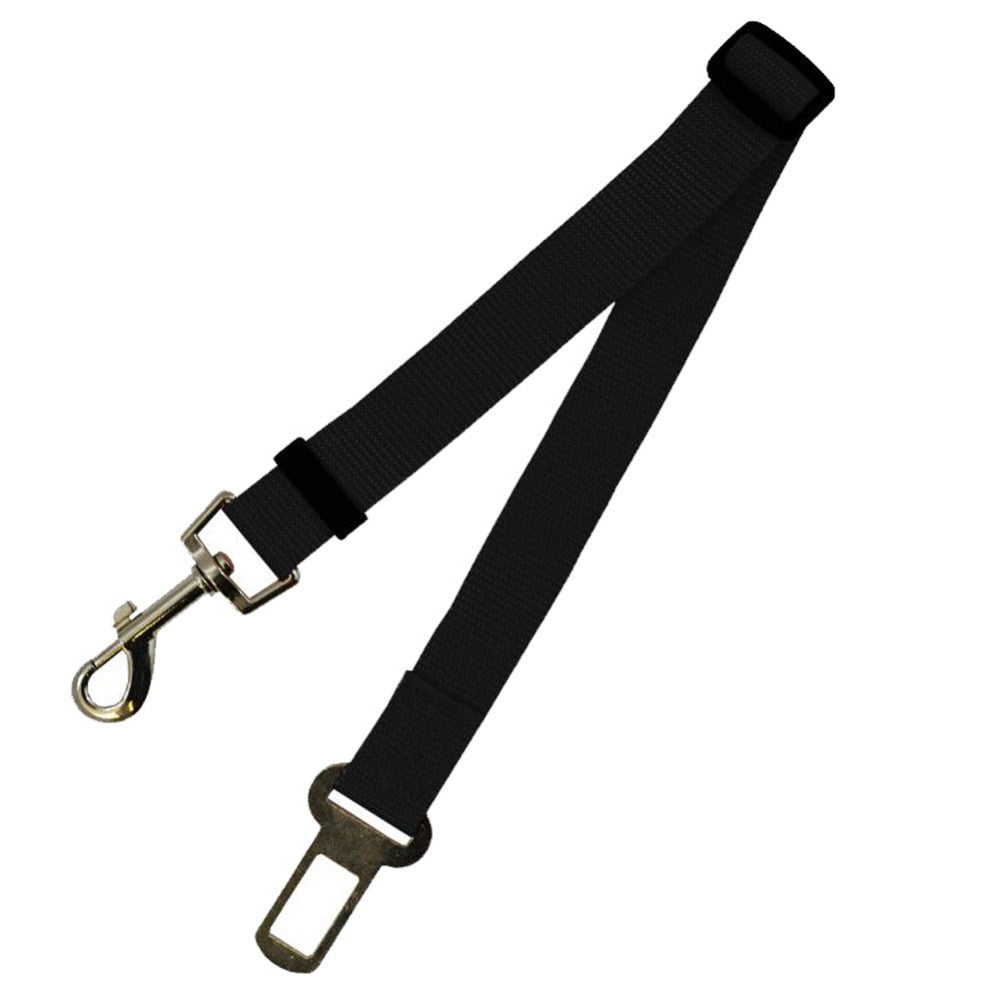 STORAZONE Pet Accessories Fixed Strap Polyester Dog Strap Dog Leash Dog Leash