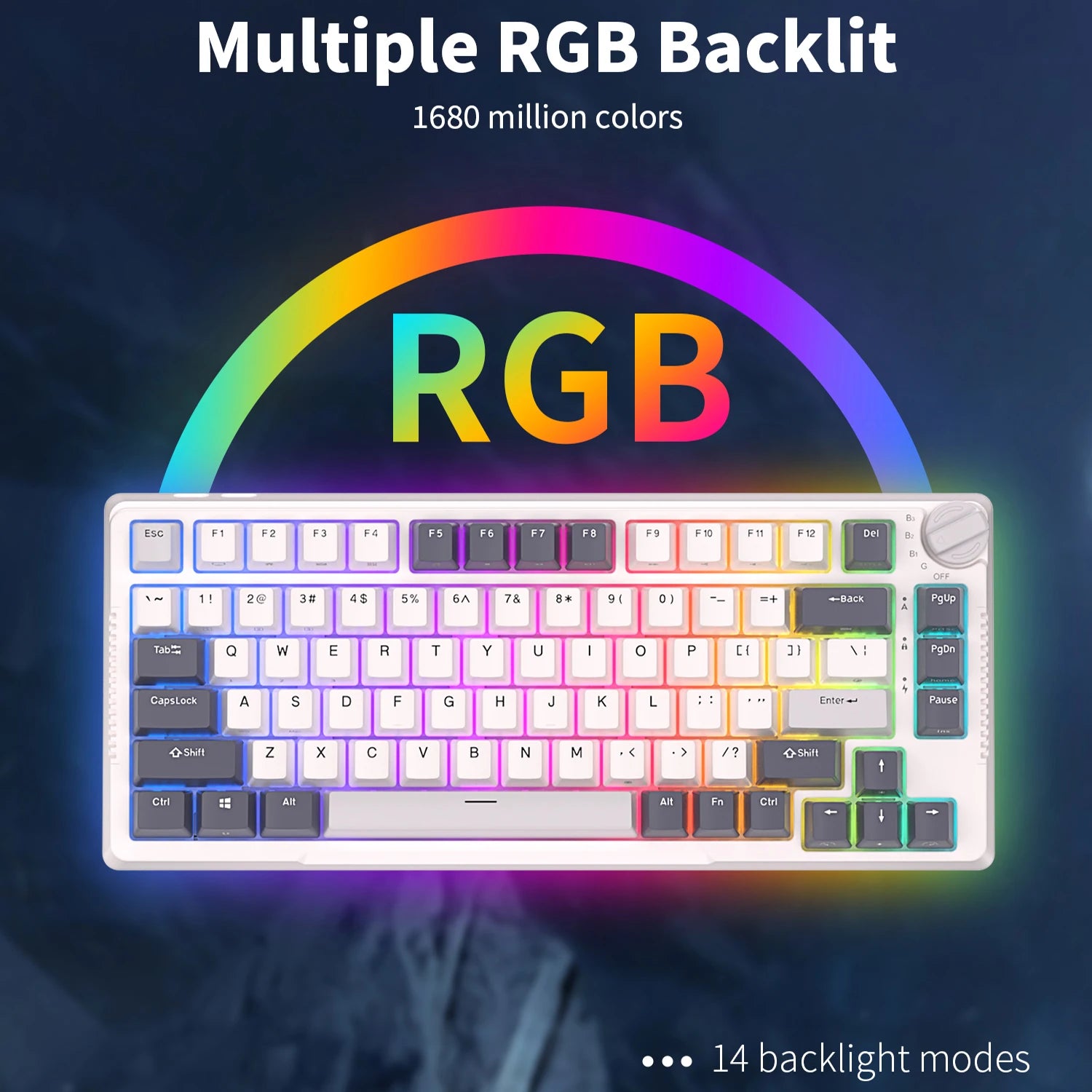 Storazone RK H81 Royal Kludge Gasket Structure Tri-mode Mechanical Keyboard 81 Key 80% RGB Backlit 2.4G Wireless Bluetooth Gamer Keyboard