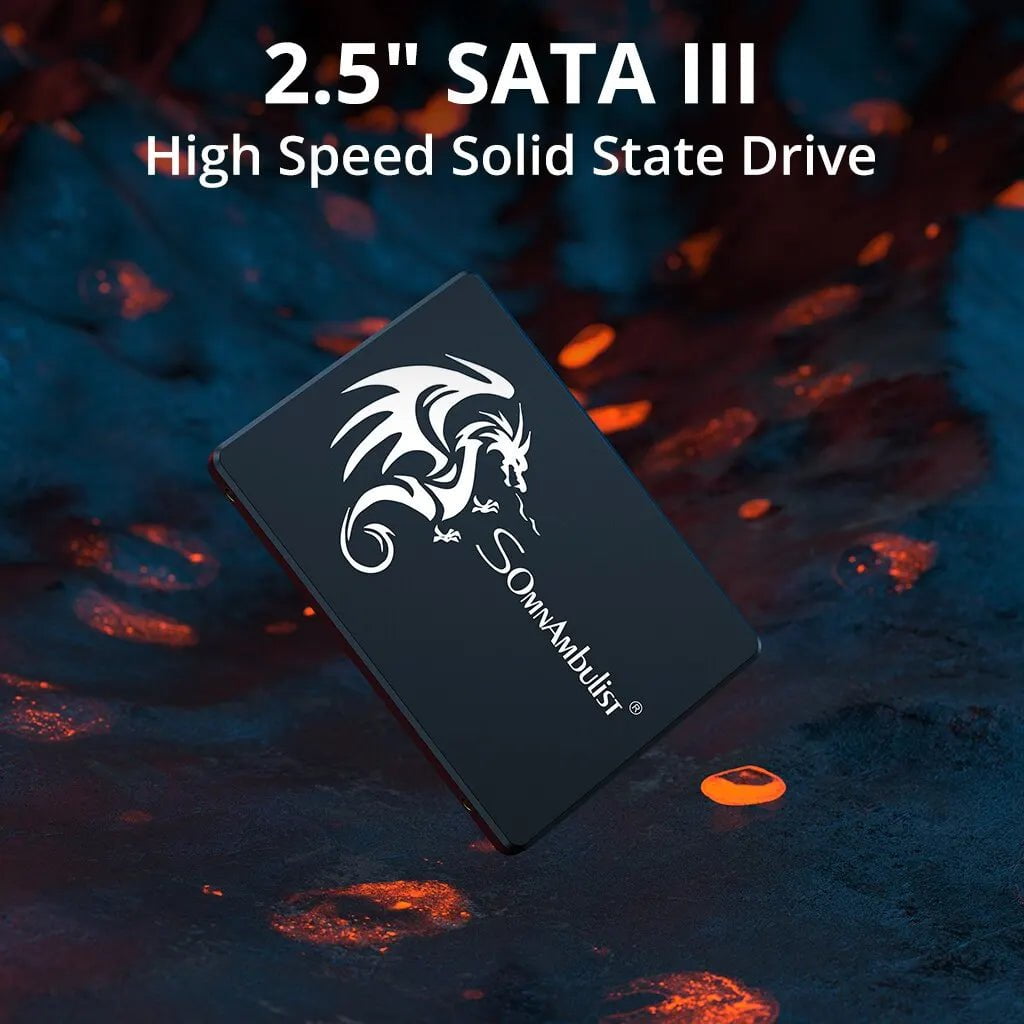 Storazone SomnAmbulist SSD 120GB 240GB 480GB 960GB Internal Sata3 Solid State Drive 2.5 128GB 256GB 512GB 1TB 2TB SSD for PC Laptop