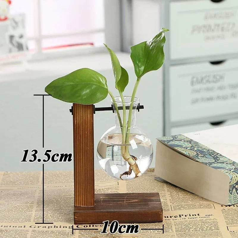 Storazone Type A Bonsai Decor flower vase Plant Transparent Vase Wooden Frame vase decoratio Glass Tabletop Plant  flower shaped bowl