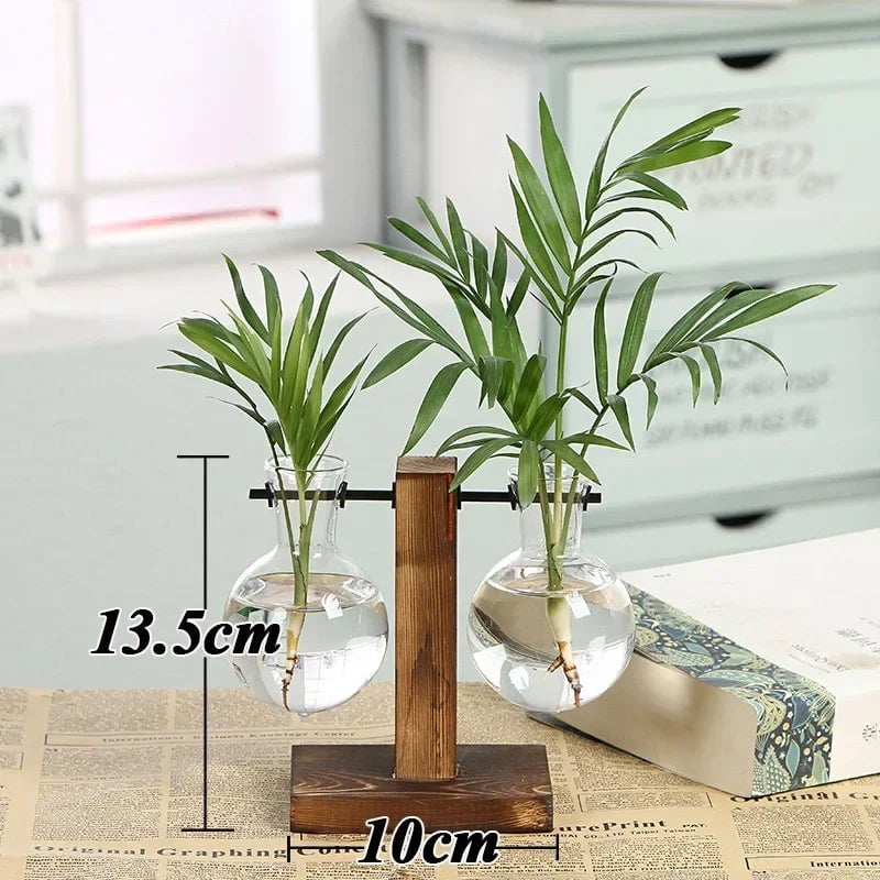 Storazone Type B Bonsai Decor flower vase Plant Transparent Vase Wooden Frame vase decoratio Glass Tabletop Plant  flower shaped bowl