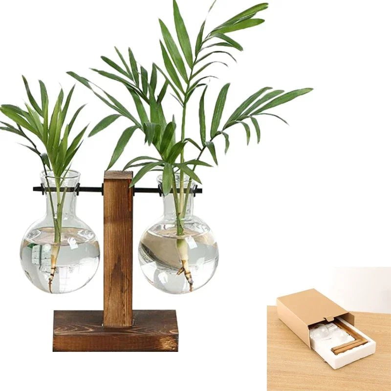 Storazone Type B with box Bonsai Decor flower vase Plant Transparent Vase Wooden Frame vase decoratio Glass Tabletop Plant  flower shaped bowl