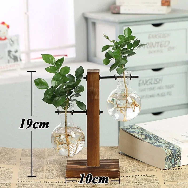 Storazone Type C Bonsai Decor flower vase Plant Transparent Vase Wooden Frame vase decoratio Glass Tabletop Plant  flower shaped bowl