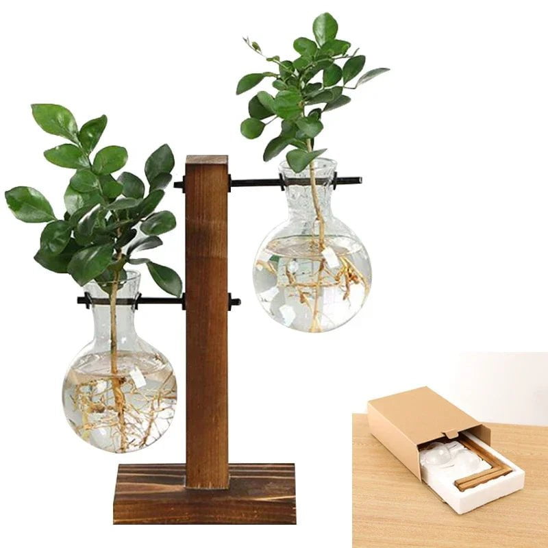 Storazone Type C with box Bonsai Decor flower vase Plant Transparent Vase Wooden Frame vase decoratio Glass Tabletop Plant  flower shaped bowl